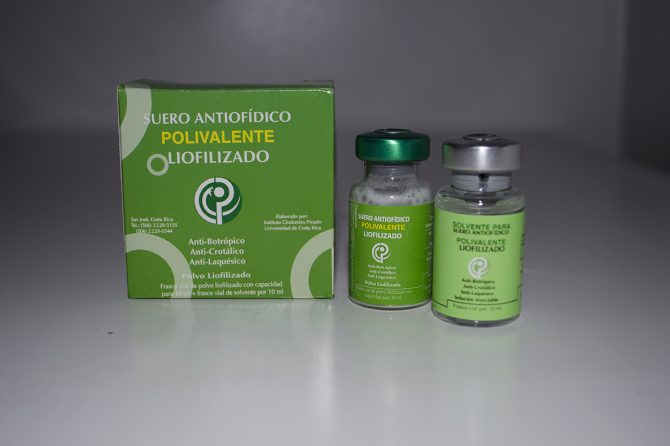 SUERO ANTIFÍDICO  POLIVALENTE LIOFILIZADO